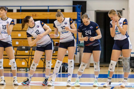 Enea Energetyk Poznań - Silesia Volley Mysłowice  Foto: lepszyPOZNAN.pl/Piotr Rychter