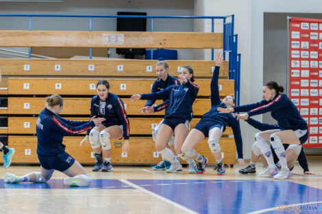 Enea Energetyk Poznań - Silesia Volley Mysłowice  Foto: lepszyPOZNAN.pl/Piotr Rychter