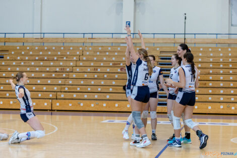 Enea Energetyk Poznań - Silesia Volley Mysłowice  Foto: lepszyPOZNAN.pl/Piotr Rychter