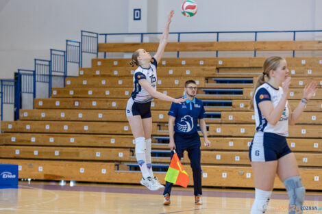 Enea Energetyk Poznań - Silesia Volley Mysłowice  Foto: lepszyPOZNAN.pl/Piotr Rychter