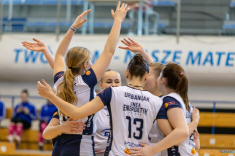 Enea Energetyk Poznań - Silesia Volley Mysłowice  Foto: lepszyPOZNAN.pl/Piotr Rychter