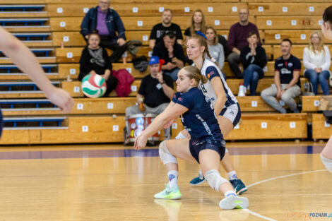 Enea Energetyk Poznań - Silesia Volley Mysłowice  Foto: lepszyPOZNAN.pl/Piotr Rychter