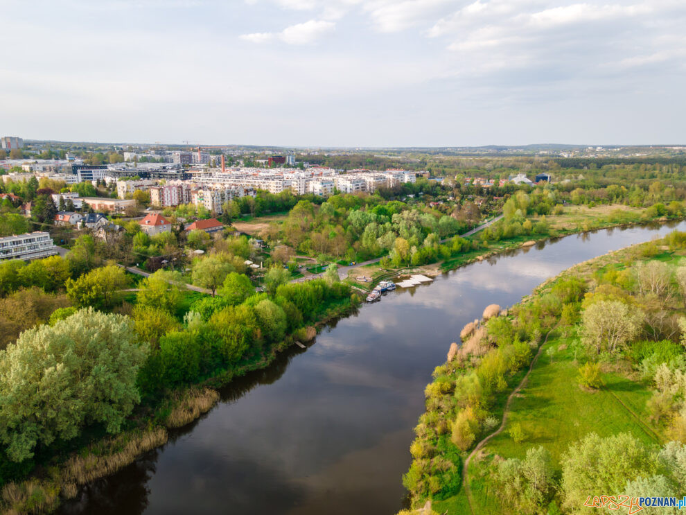 rzeka Warta, szeląg  Foto: lepszyPOZNAN.pl / Piotr Rychter