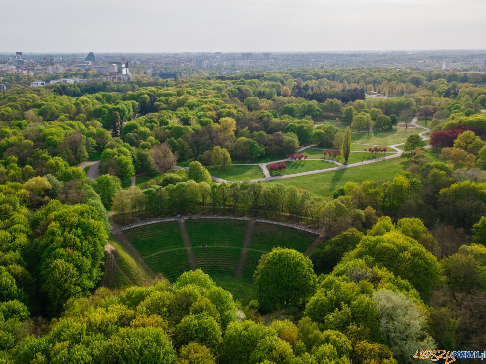 Cytadela, amfiteatr  Foto: lepszyPOZNAN.pl / Piotr Rychter