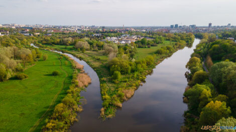 rzeka Warta, ostrów tumski  Foto: lepszyPOZNAN.pl / Piotr Rychter