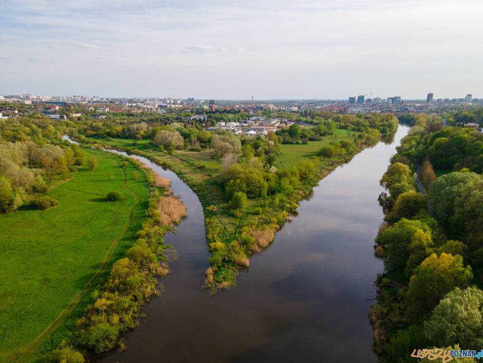 rzeka Warta, ostrów tumski  Foto: lepszyPOZNAN.pl / Piotr Rychter