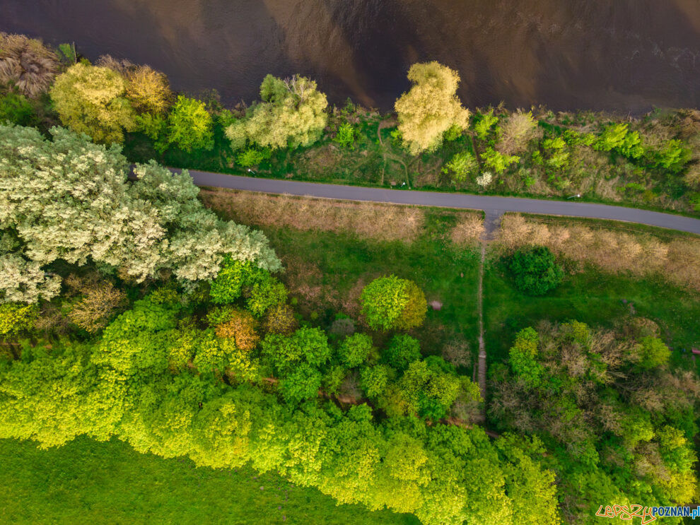 rzeka Warta, park szelągowski  Foto: lepszyPOZNAN.pl / Piotr Rychter