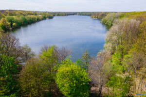 Jezioro Rusałka  Foto: lepszyPOZNAN.pl / Piotr Rychter