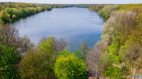 Jezioro Rusałka  Foto: lepszyPOZNAN.pl / Piotr Rychter