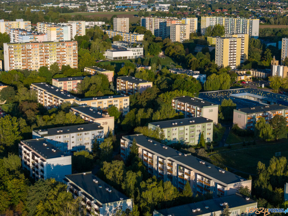 Piątkowo, Osiedle Jana III Sobieskiego  Foto: lepszyPOZNAN.pl/Piotr Rychter