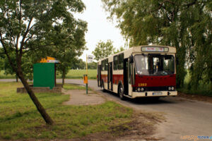 Jelcz PR110 pęta Złotniki AR [J. Podolak 6.06.2009 ZTM]  Foto: J. Podolak / ZTM