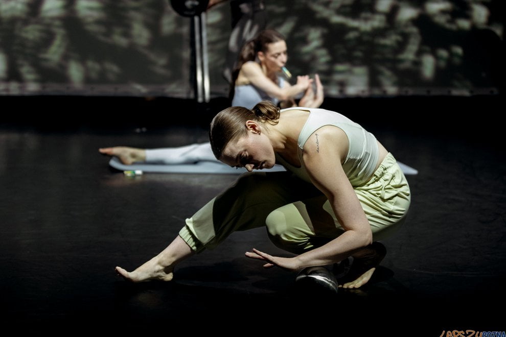24/7 Nowych grzechów Polski Teatr Tańca  Foto: lepszyPOZNAN.PL/Ewelina Jaśkowiak